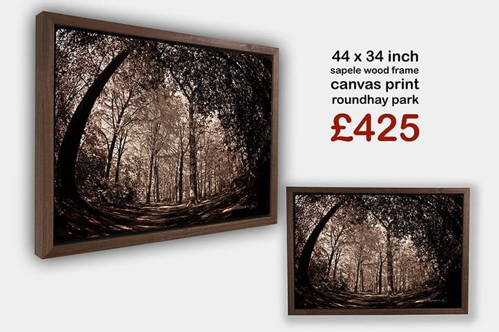 Roundhay Park, Woods, Canvas, Framed, Art Work, Bevan Cockerill, Photography, Office Art