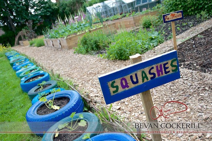 Inkwell, Garden, Bevan Cockerill, Photography, Squashes, Tyres, Leeds, Chapel Allerton