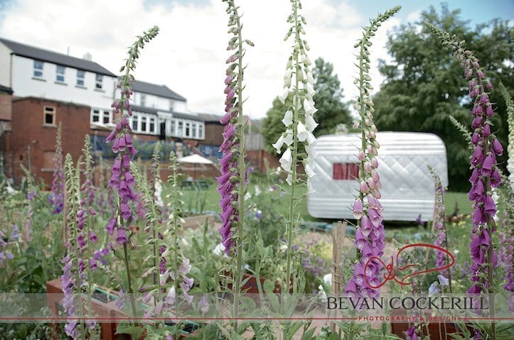 Inkwell, Garden, Bevan Cockerill, Photography, Foxgloves, Leeds, Chapel Allerton, Sepia